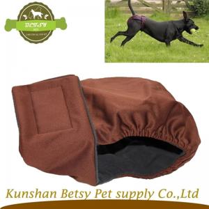 nyanlända hund i säsongen.