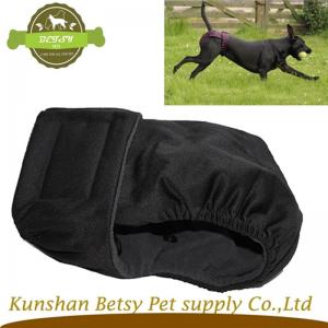 nyanlända hund i säsongen.