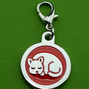 Zink Alloy Polish Electroplate Adhesive Dripping Pet ID Taggar Hundtillbehör