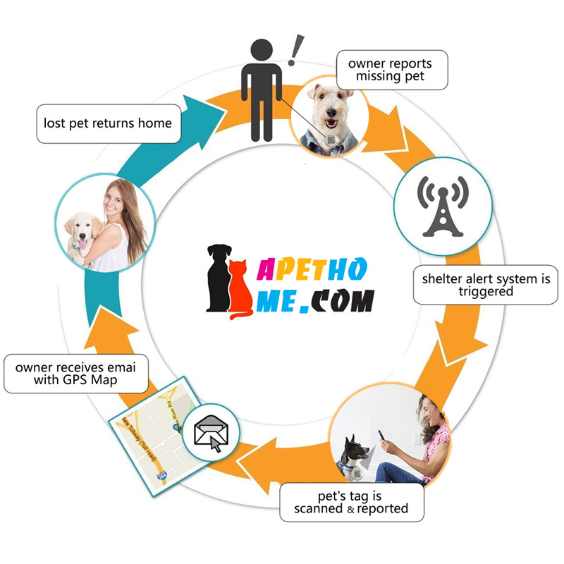 Personliga hundtaggar och kattetiketter Rostfritt stål Smart husdjur ID-kod QR-kod Skannad GPS-plats