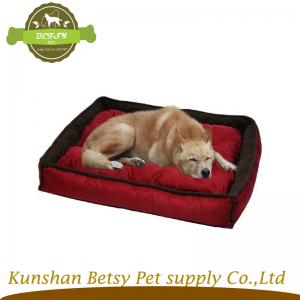 röd besjälar hund.