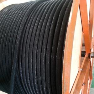 flexibla ledande polymer anod