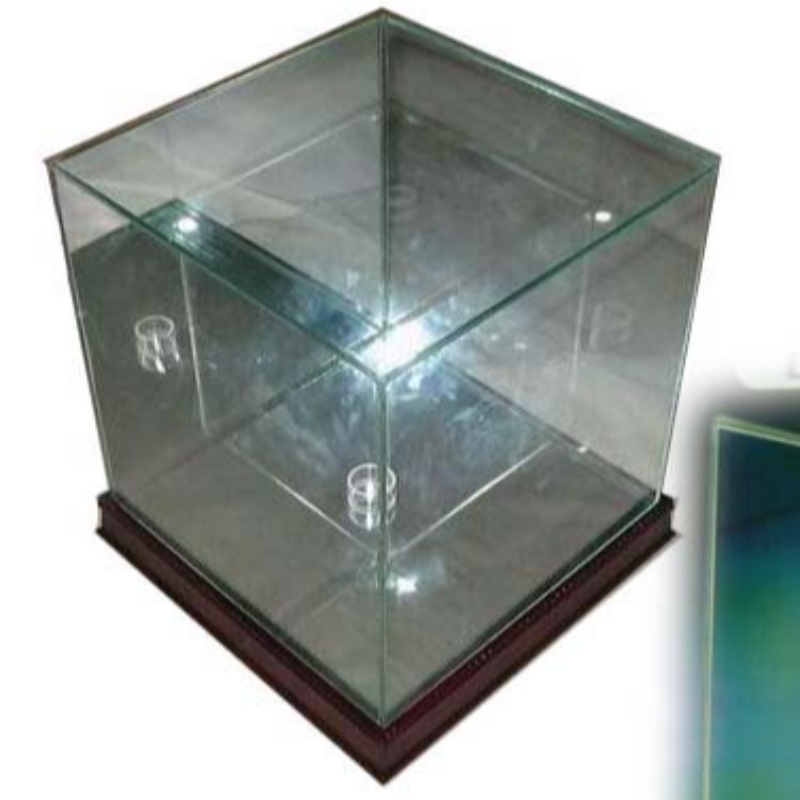 Rctangle Basketball Display Case