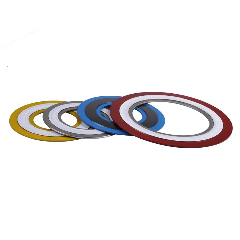 Spiral Wound Gasket CGI