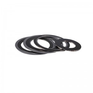 Spiral Wound Gasket CGI