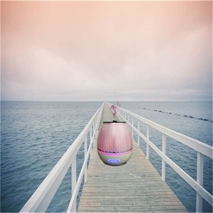 2018 nyanlända unga levande aromadiffusor av eterisk olja av eterisk olja