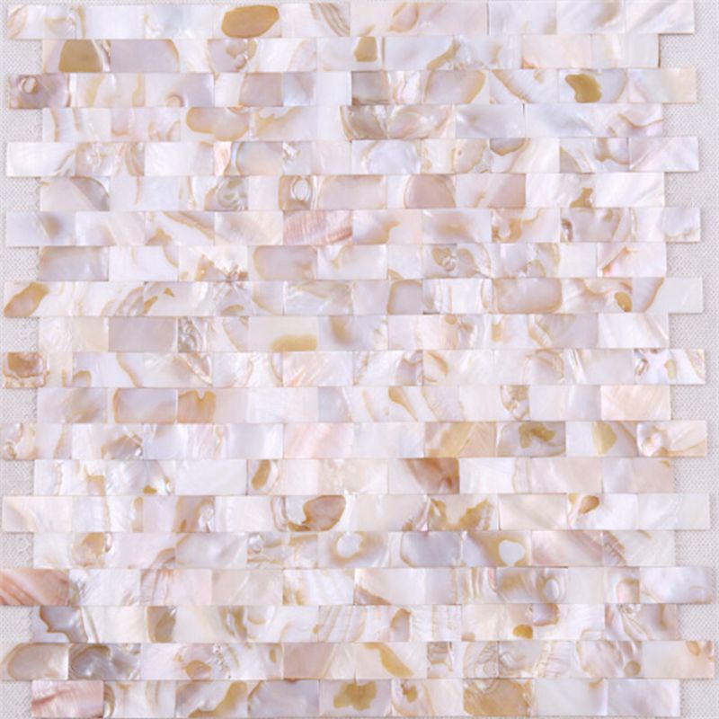 Grossistpris Naturliga snäckskal Backsplash Mosaikplattor för vägg