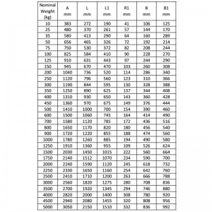 Högkvalitativa marinbeslag skeppslösa hallförankringar