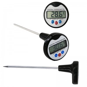 Pen Style Instant Läs hushållstemperaturinstrument för kök BBQ Grill