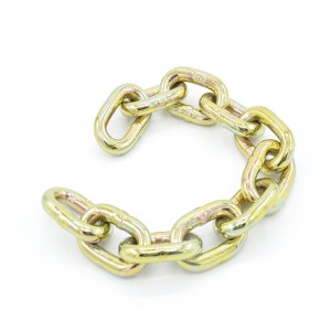 G70 Alloy Steel Transport Chain Nacm-96 YZ