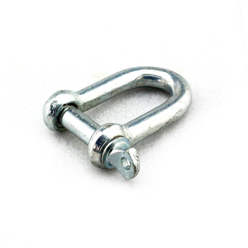 European Type Galvanized Large Dee Shackle