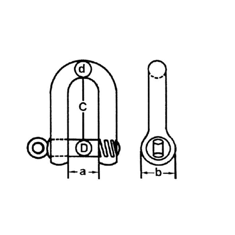 European Type Galvanized Large Dee Shackle