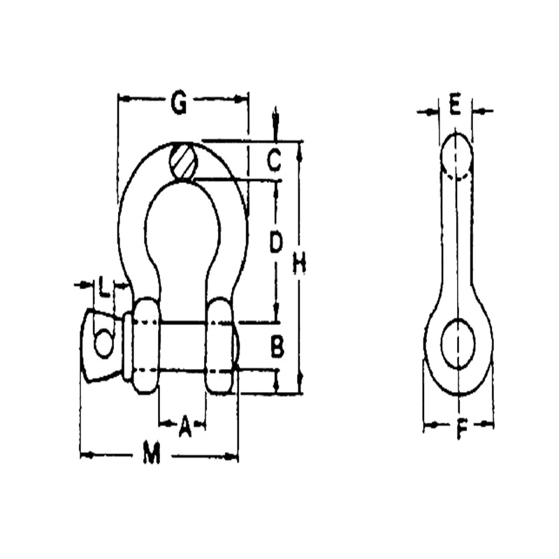 US Type Drop Forged Screw Pin Anchor Shackle