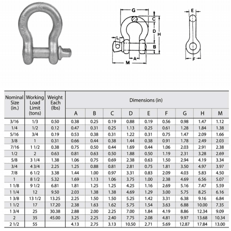 US Type Drop Forged Screw Pin Anchor Shackle