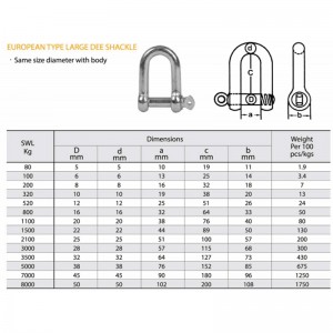 European Type Galvanized Large Dee Shackle