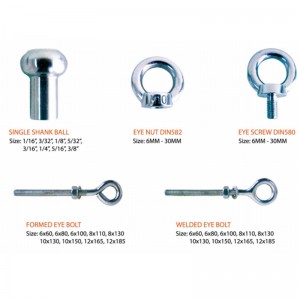 316 Smidd DIN580 ögonskruv