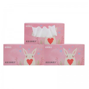 Makeup Ta bort torka