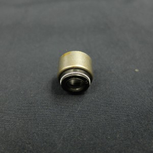 Auto Engine Valve tätning för Vechile