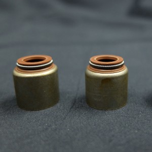 Kina leverantör Valve stamoljetätning för Renault-bilar