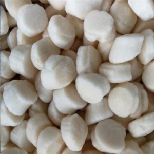 Fryst hav kammusslor kött