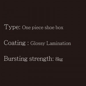 Shoe Box-One Piece-Type2