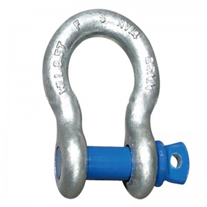 Professionell tillverkare Anchor D Shackle