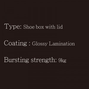 Skobox med lock typ2