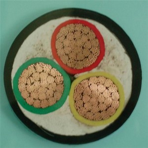 0,6 / 1kv 3 X 6mm2 LV strömkabel Pvc isolerade Cu fast / strandad ledare