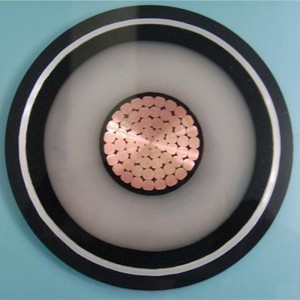 110kv Xlpe HV kraftkabel Kompakt segmentledare 1000 mm2