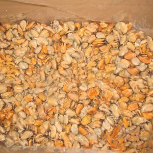 Djupfryst kokt musslingskött