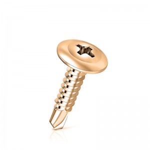 Modifer Truss Head självborrande skruvar