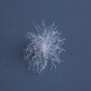 Natural Duck, Goose Down Feather Material