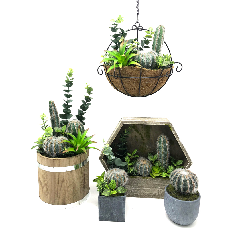 Moderna konstgjorda suckulenta växter med dekorativ vas för kruka bordsskiva