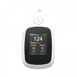 Dienmern Hot Sale PM2.5 Auto Car Vehicle Luftkvalitetsdetektor PM1.0 Indoor Air Quality Monitor PM10