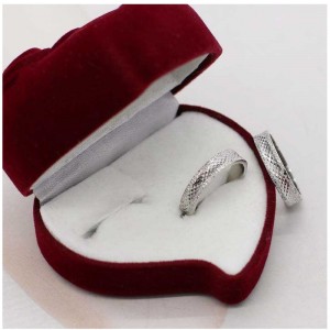S925 Silverring Fashion Scale Ring