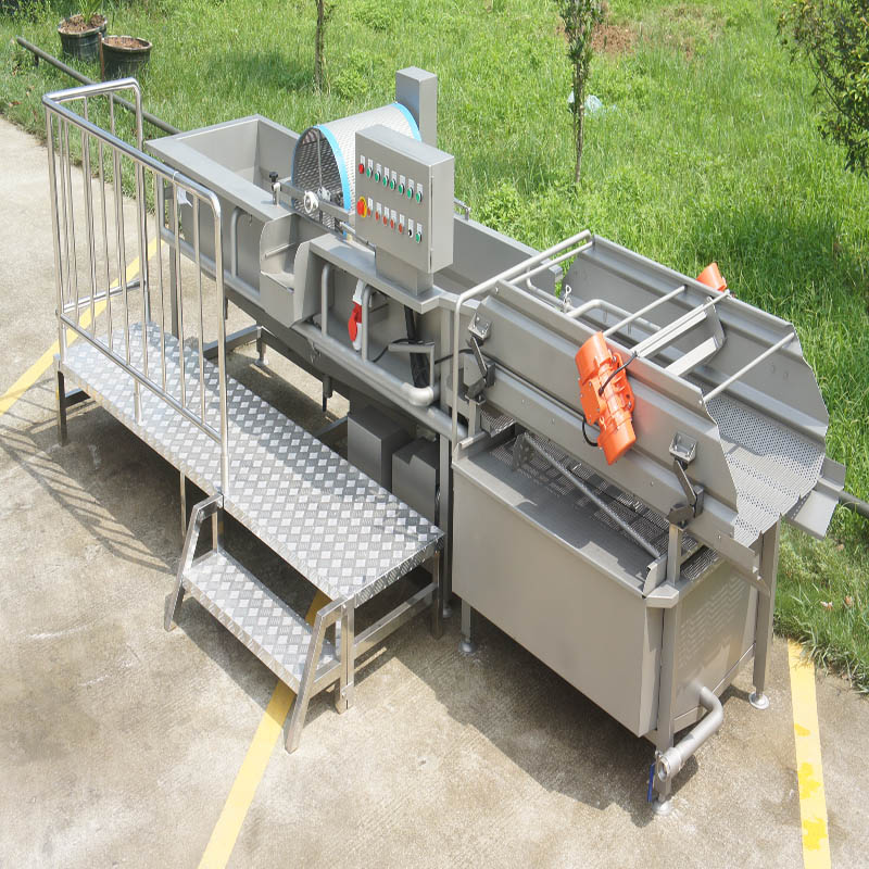 Deluxe Eddy Current Vegetable Washer