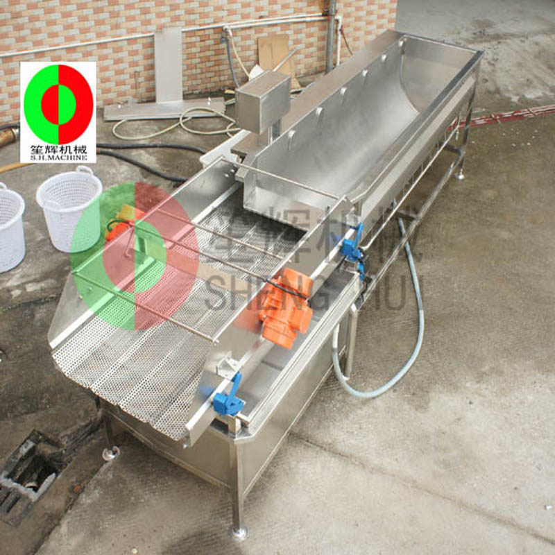 Eddy Current Vegetable Washer