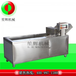 Lyxig tvättmaskin för ozondesinfektion (vändbart transportband)