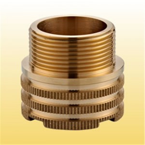 Kvinnlig infästning