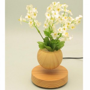 trä rund bas magnetisk levitating flytande luft bonsai damm potten potten