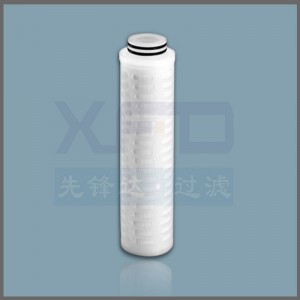 PES Plated Filter Cartridge --- RFED