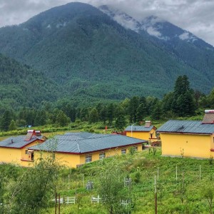 ASA syntetisk hartsplatta, trapezformad glasyr