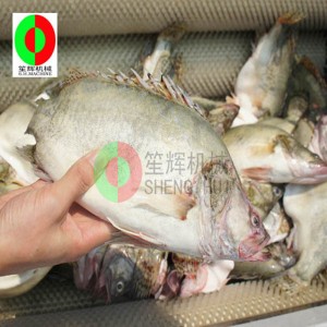 Melon frukt rengöring maskin / melon frukt rengöring peeling maskin / melon frukt borste rengöring peeling maskin QX-612 ny