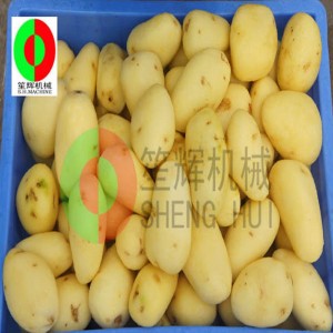 Melon frukt rengöring maskin / melon frukt rengöring peeling maskin / melon frukt borste rengöring peeling maskin QX-612 ny