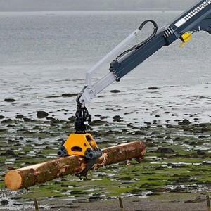 Trähantering Gantry Crane