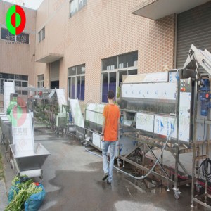 Stora grönsaker och fruktskalning och skärande produktionslinje