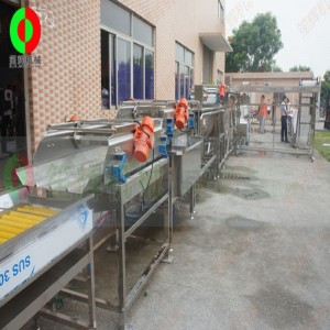 Stora grönsaker och fruktskalning och skärande produktionslinje