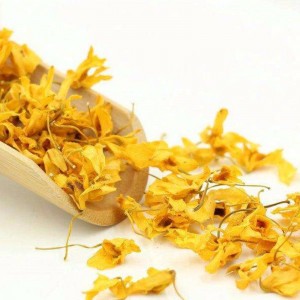 Caulis dendrobii blommor