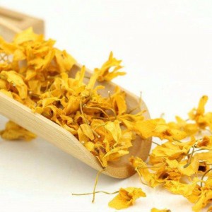 Caulis dendrobii blommor