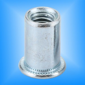 Platt huvud rund kropp